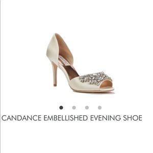 Brand new badgley Mischka size 7 heels. Never worn